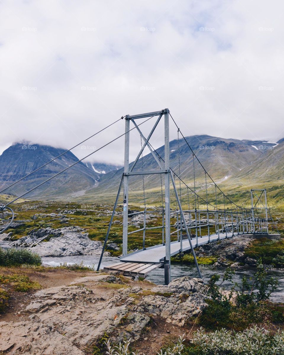 Bridge in nature