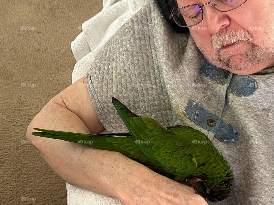 Sleeping man with his sleeping Parrot.