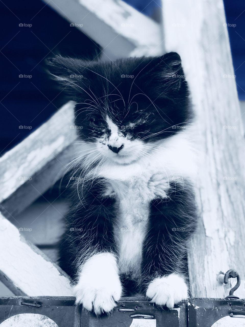 I’m not safe down there 👇