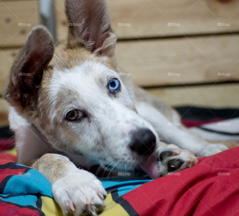 Really? I'm cleaning myself