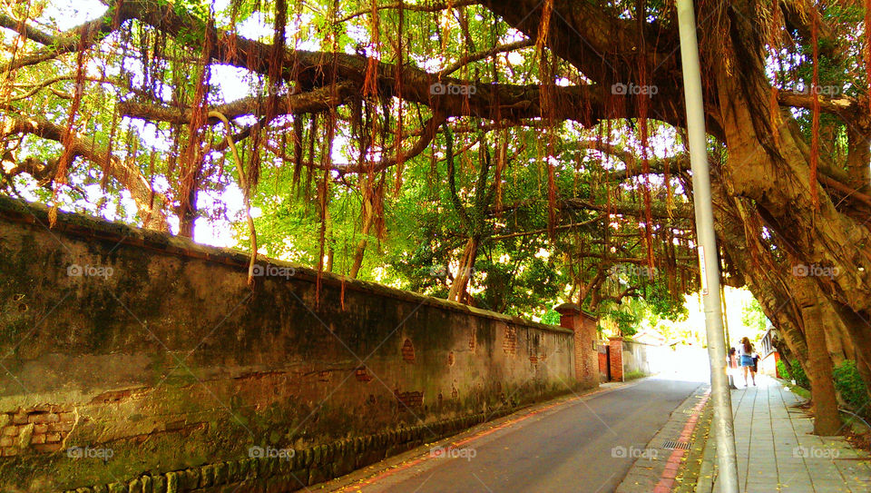 Scenery of Tamsui District, New Taipei City, Taiwan_00998