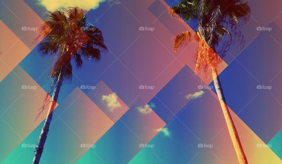 a bright Sunny day,two palm trees sit in the suns shinning rays