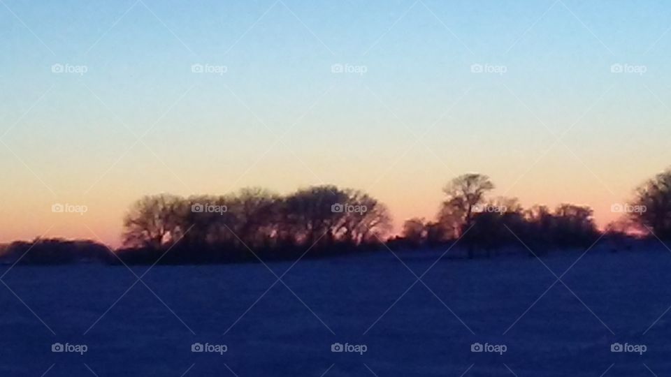 Dawn, Landscape, Tree, Water, Nature