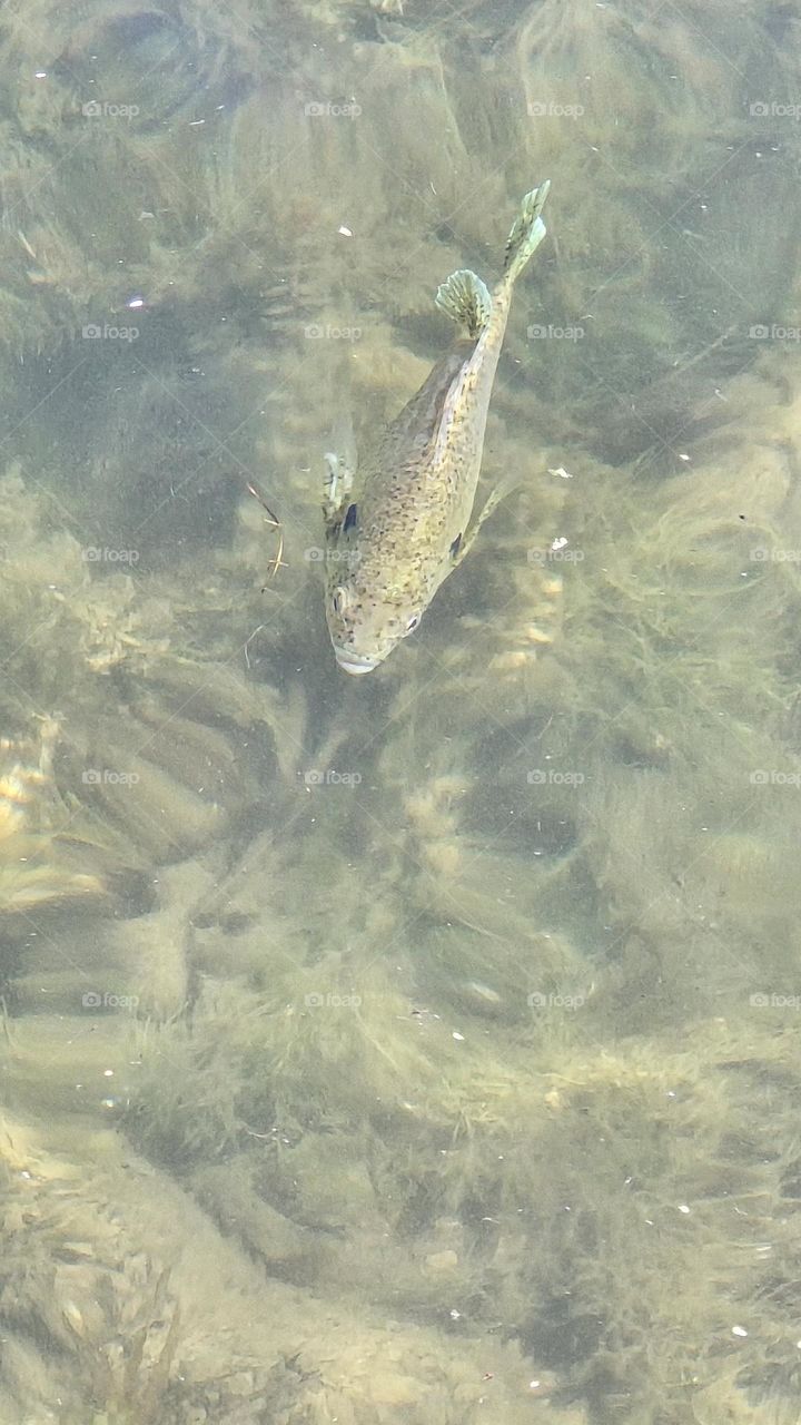 Comfort of the Elements