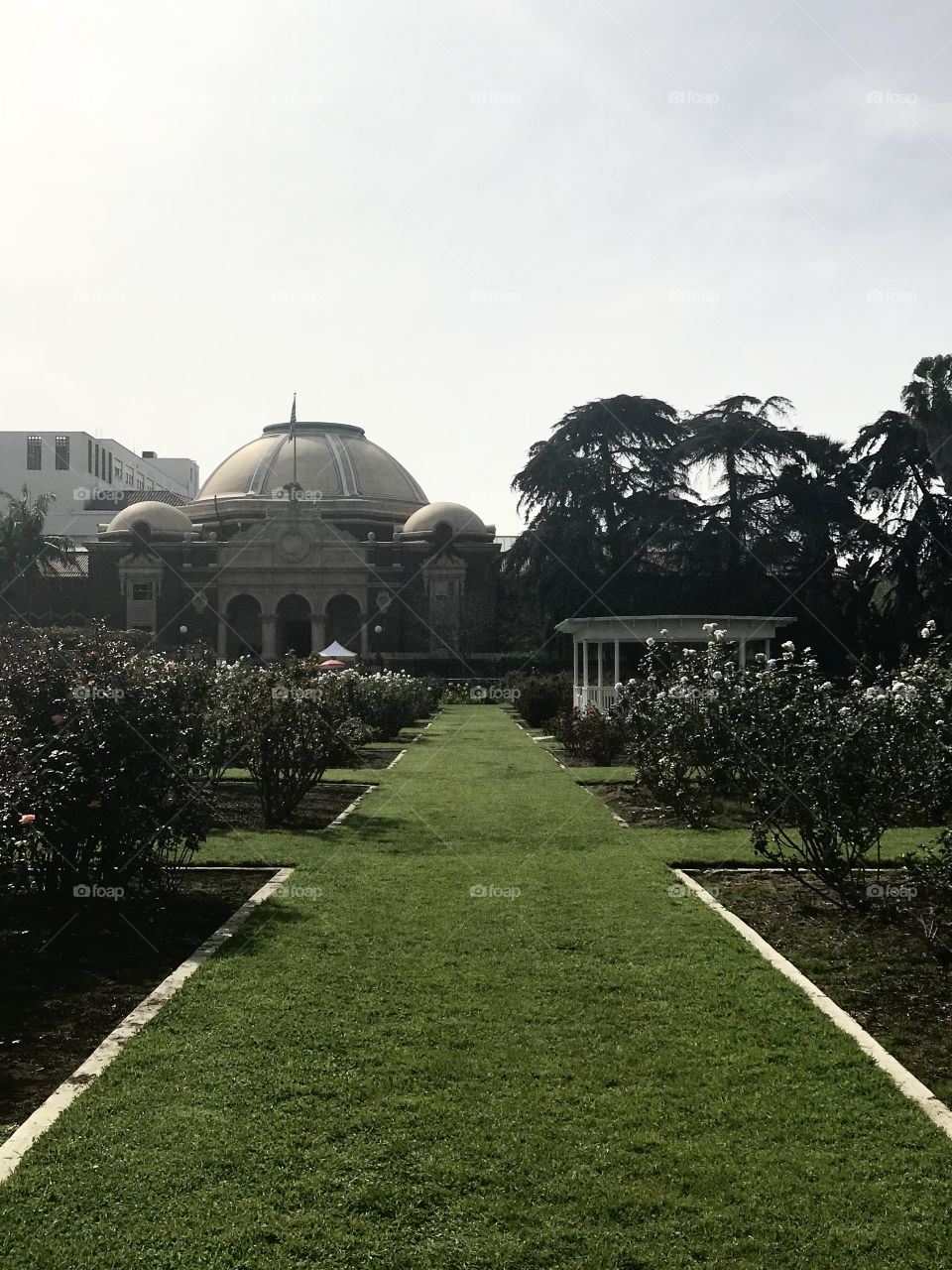 Flower gardens and pretty buildings 