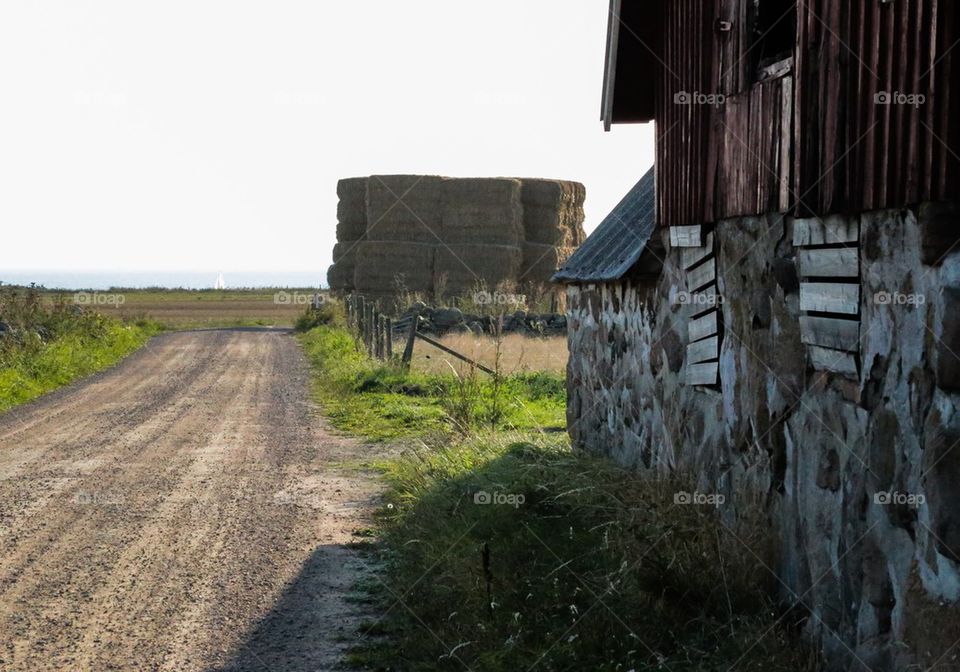 Countryside