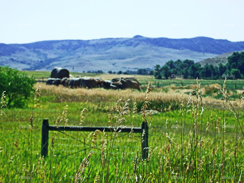 Hay baling time in Montana 