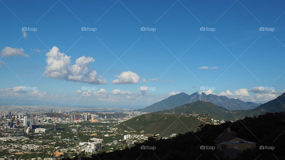 High angle view of nature