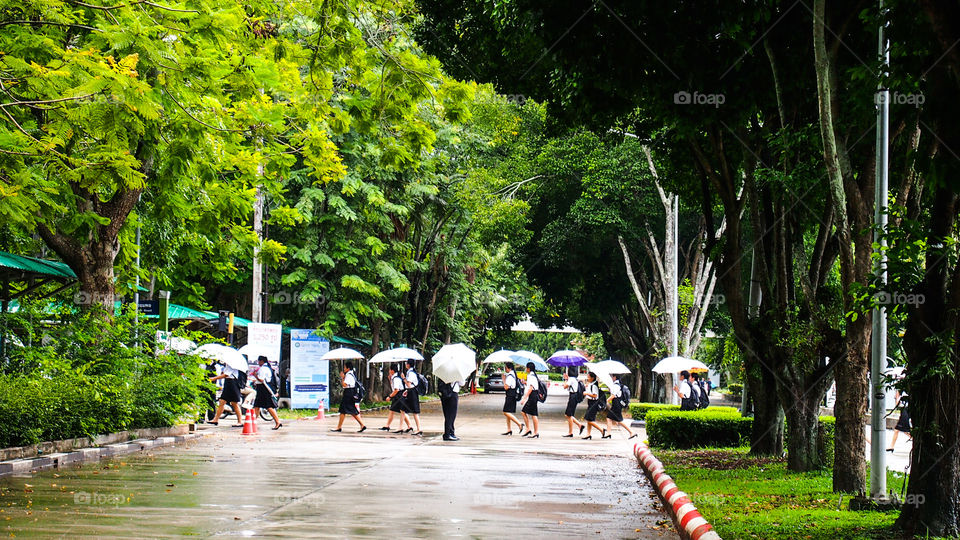 Students under the rain