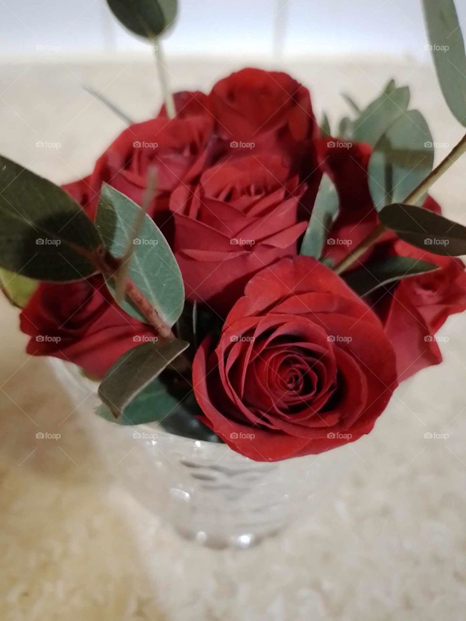 fresh red roses