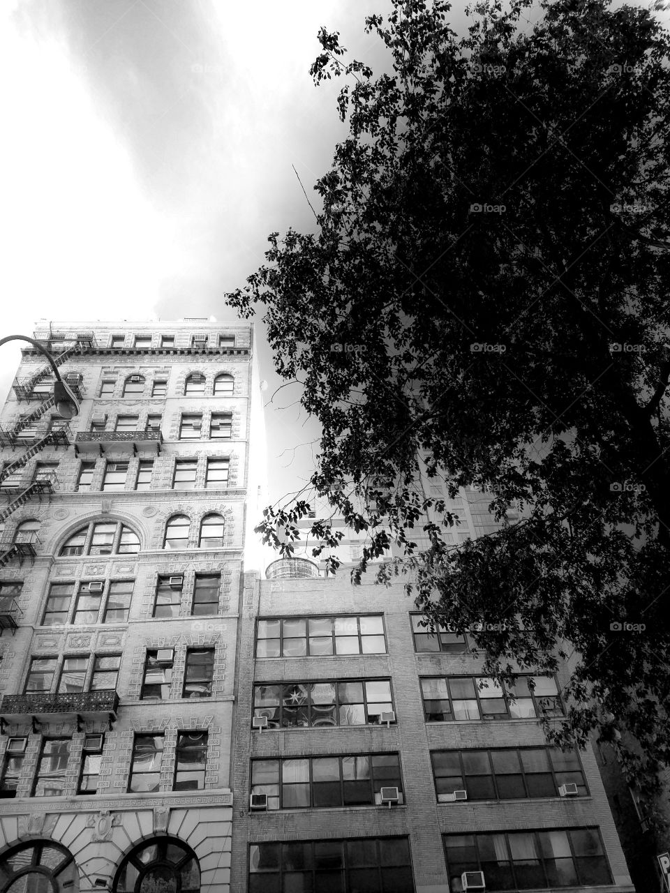 Building in Flatiron on 23rd street - Lower Manhattan. NYC Architecture. Black and White Filter.