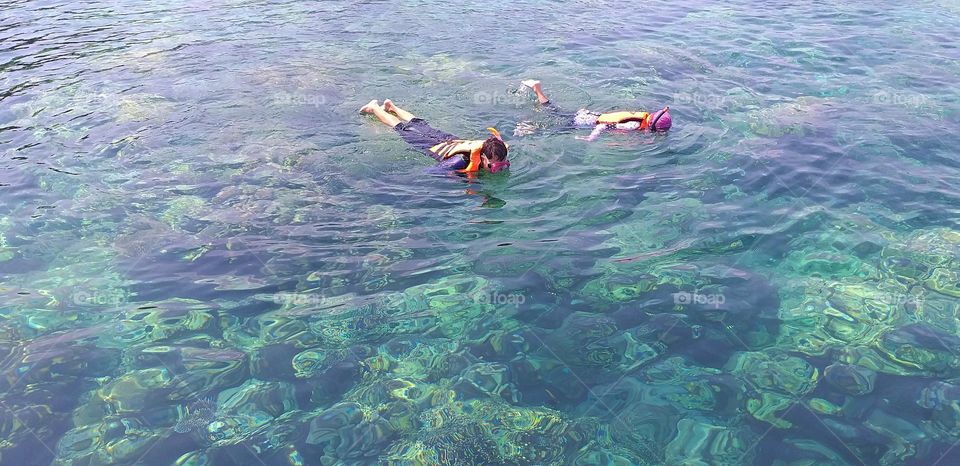 clear water see coral. skin driving. Surin Island. beautiful see .Thailand. Andaman sea.