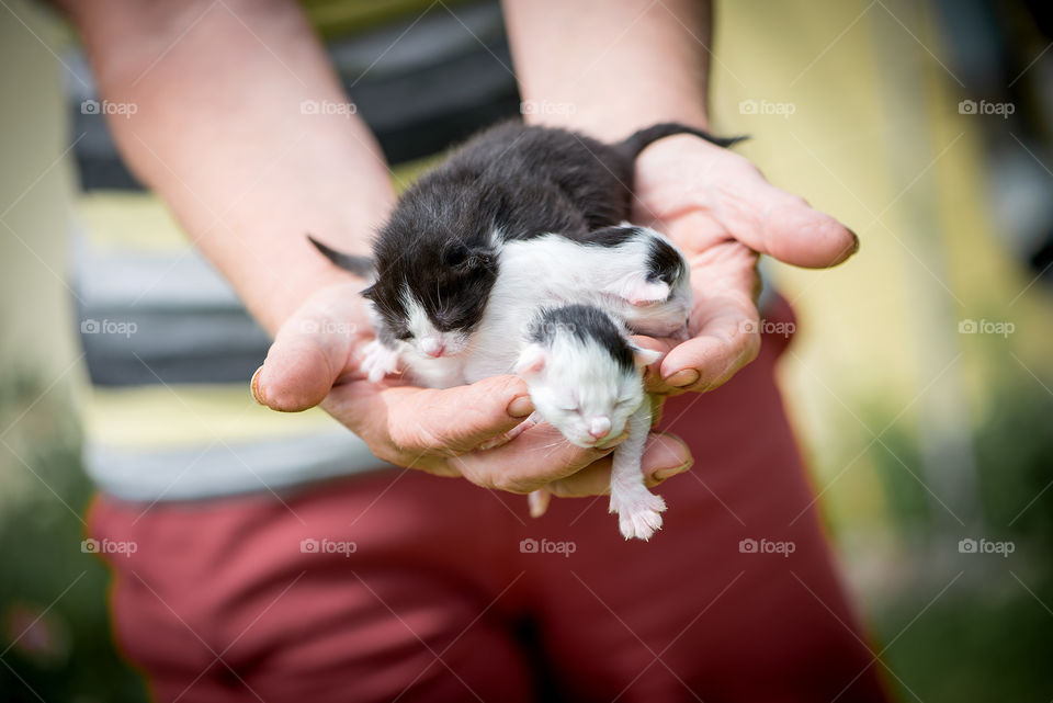 Woman holding kittens