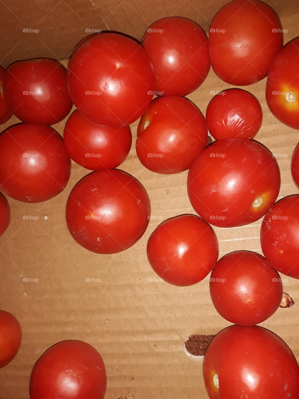 red tomato