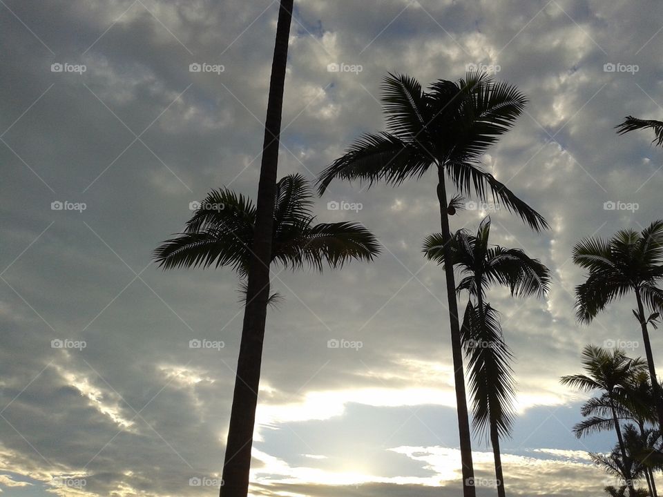 Rio de Janeiro - Brasil