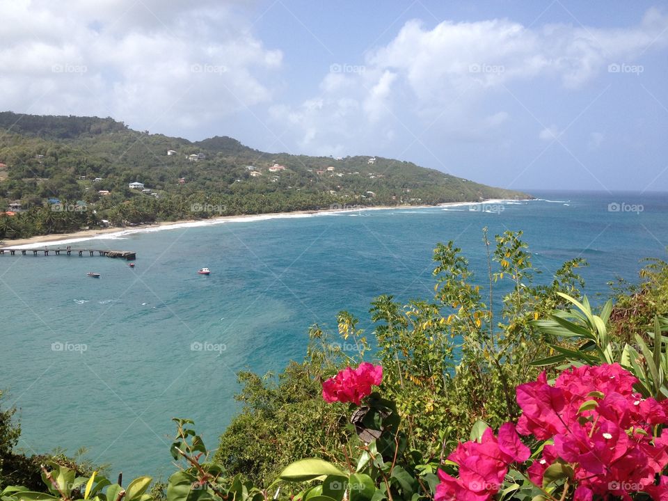 Caribbean at Leapers Hill, Grenada