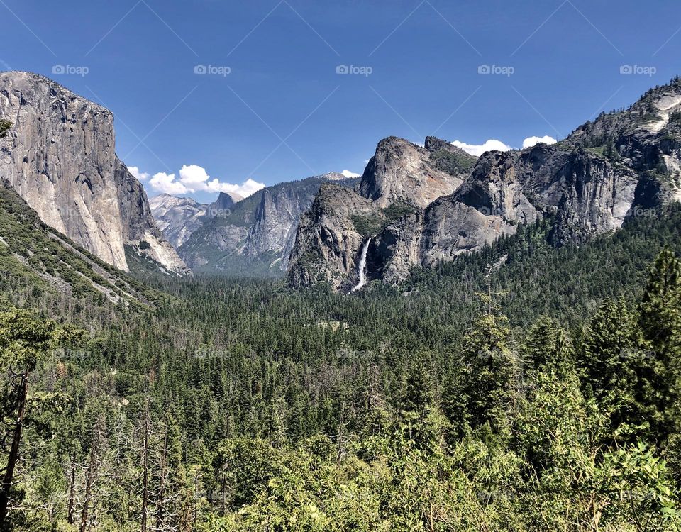 Yosemite Vista