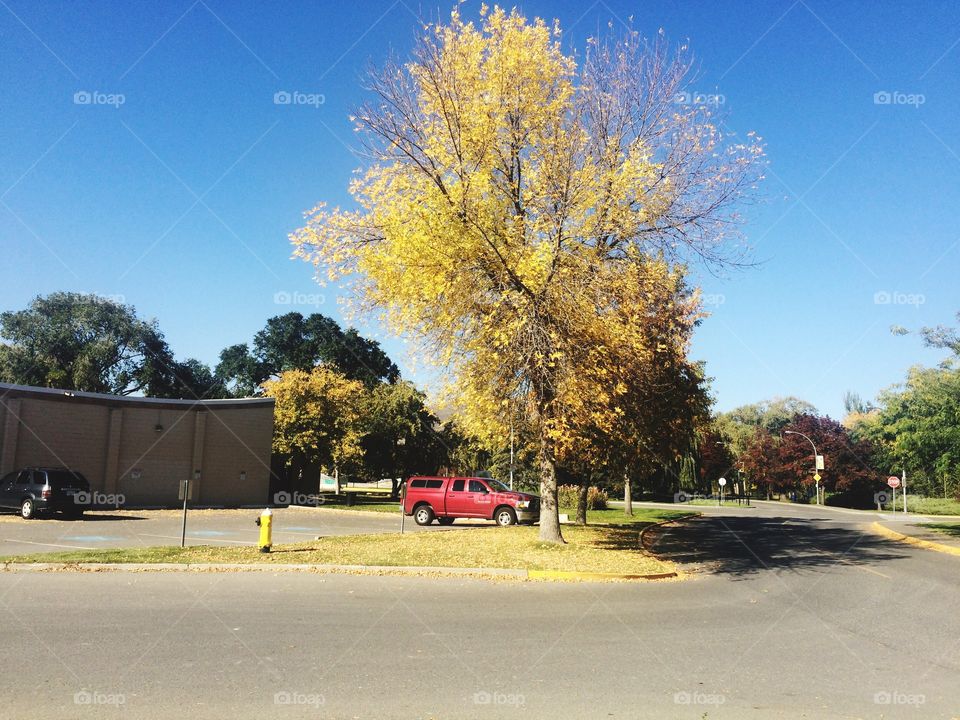 Enjoying the fall colours! 