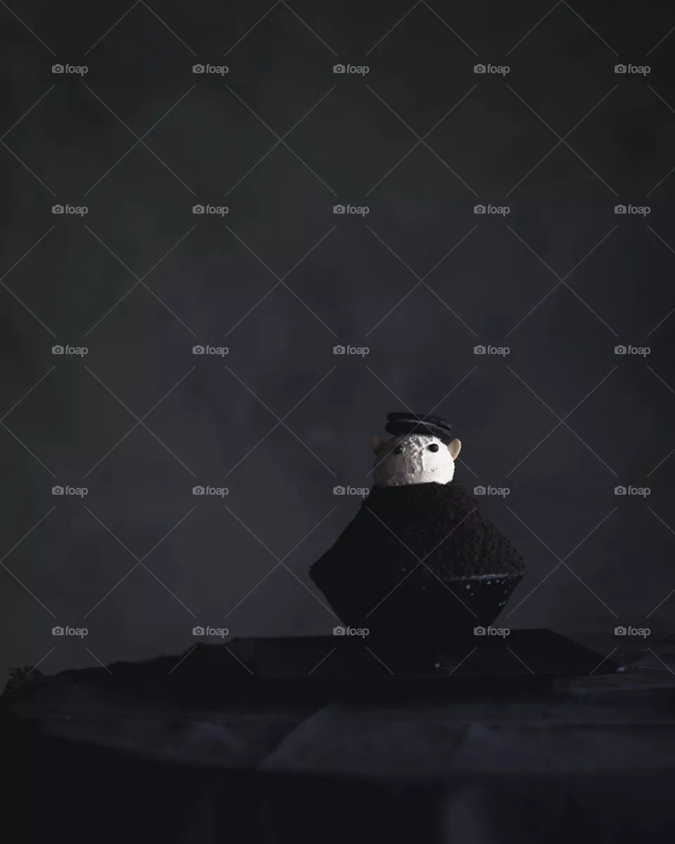 Bird, No Person, Snow, Winter, Smoke