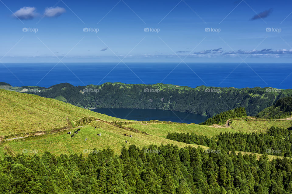 View from the road to Sete Cidades in the island of Sao Miguel, Azores, Portugal. Meadows and vulcanic lake with ocean in the background