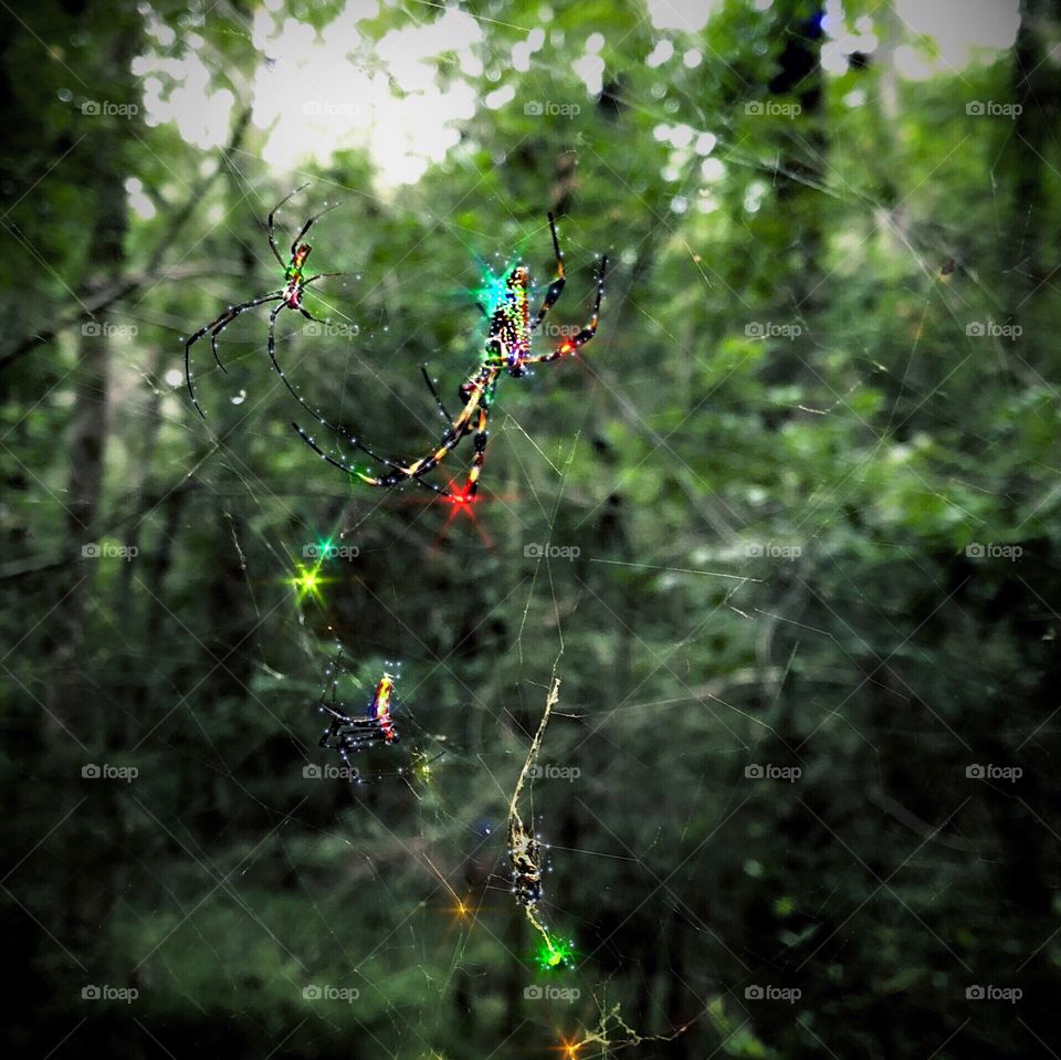 Inside The Matrix (Like We All Are)