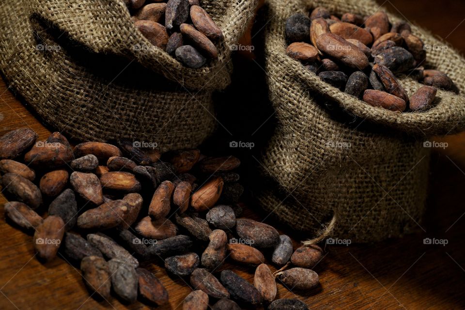 Cacao Beans in burlap