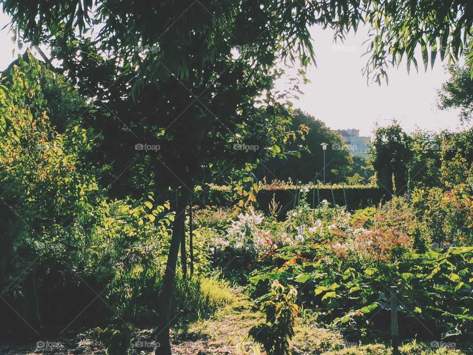 In the city park 