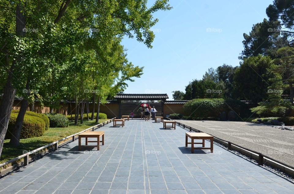 Beautiful life scene