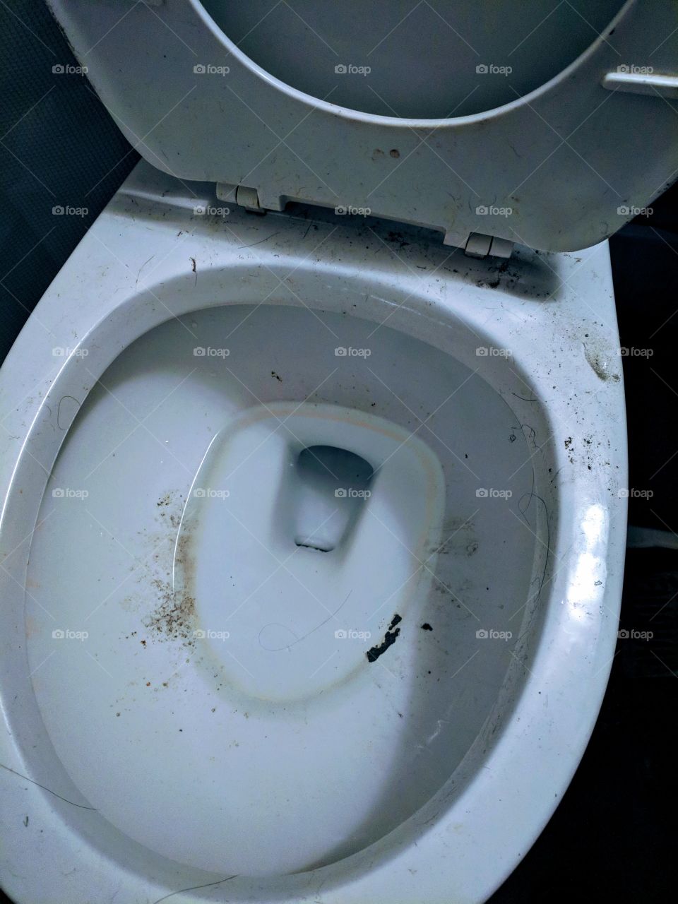 Disgusting Dirty Toilet