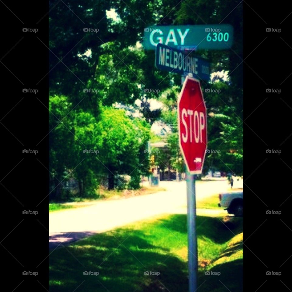 Gay pride