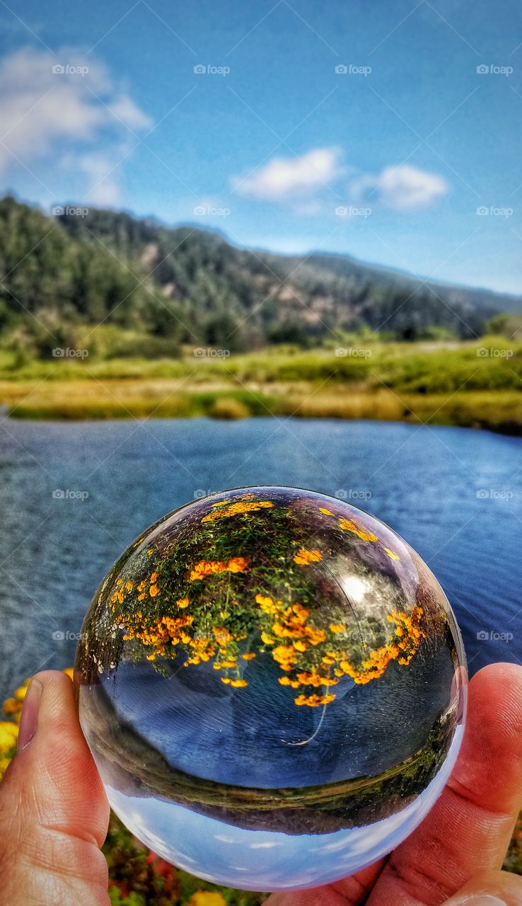 River Runs Through it