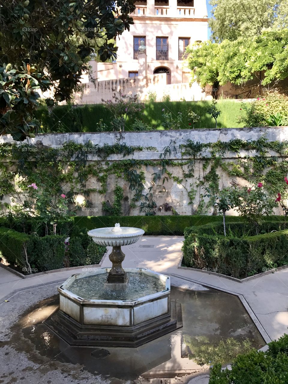 Nestled in a sweet corner of the gardens of Alhambra’s Greenlife, refreshing waters and a sweet spot of shade on a late Summers afternoon!! Granada claimed a piece of my heart! 