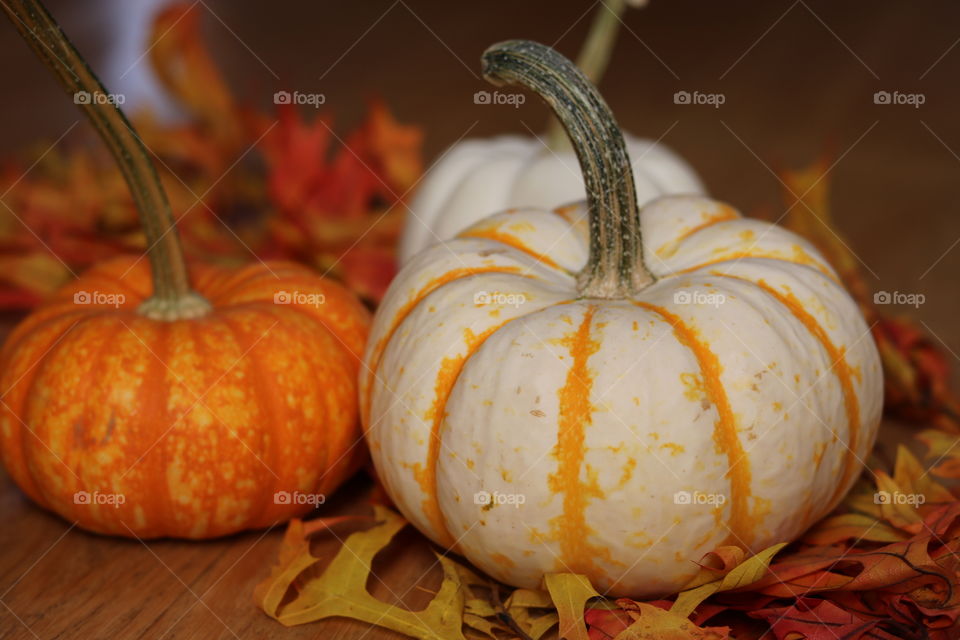 Three little pumpkins 