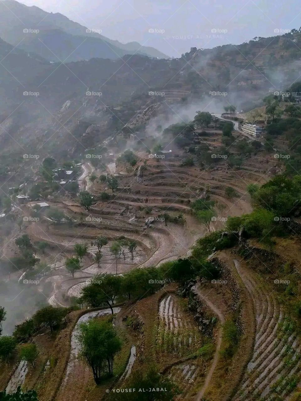 A very beautiful picture, and there is no better picture than it. There is no better picture of green herbs and colorful, red and white roses than it. Glory be to God, the natural and picturesque view, and there is no more