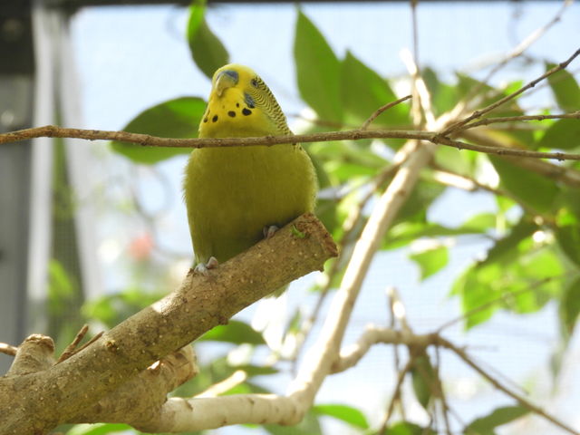 Beauty in nature