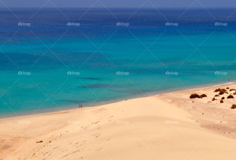 Sand, Beach, Seashore, Water, No Person