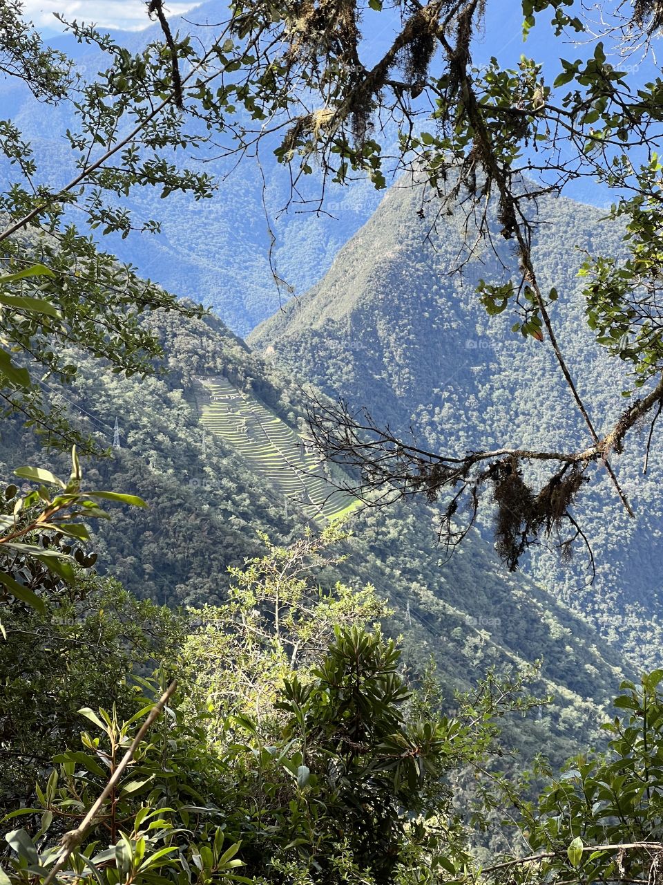 Inca Ruins