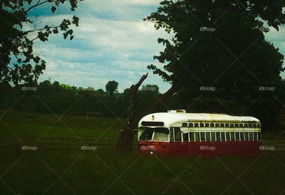 Old school bus. Old school bus in a field