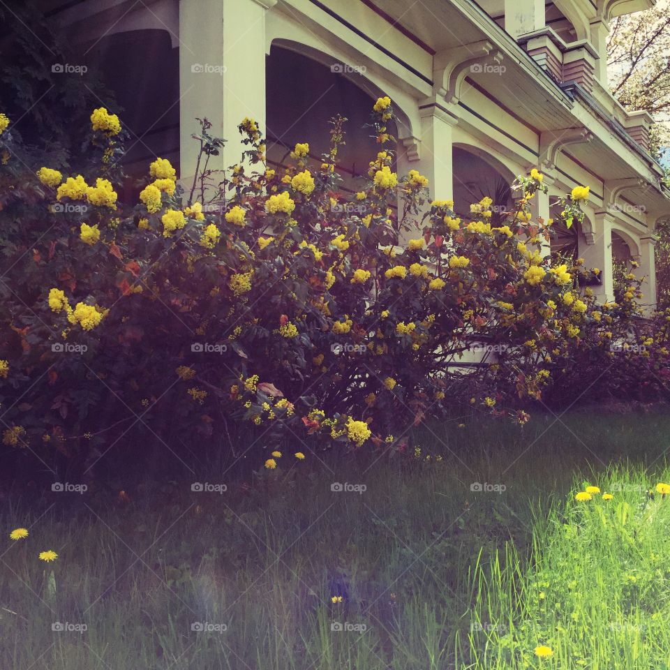 Home is where the heart is ❤️