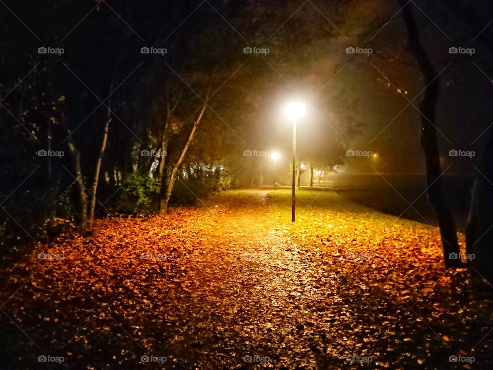 autumnal at night