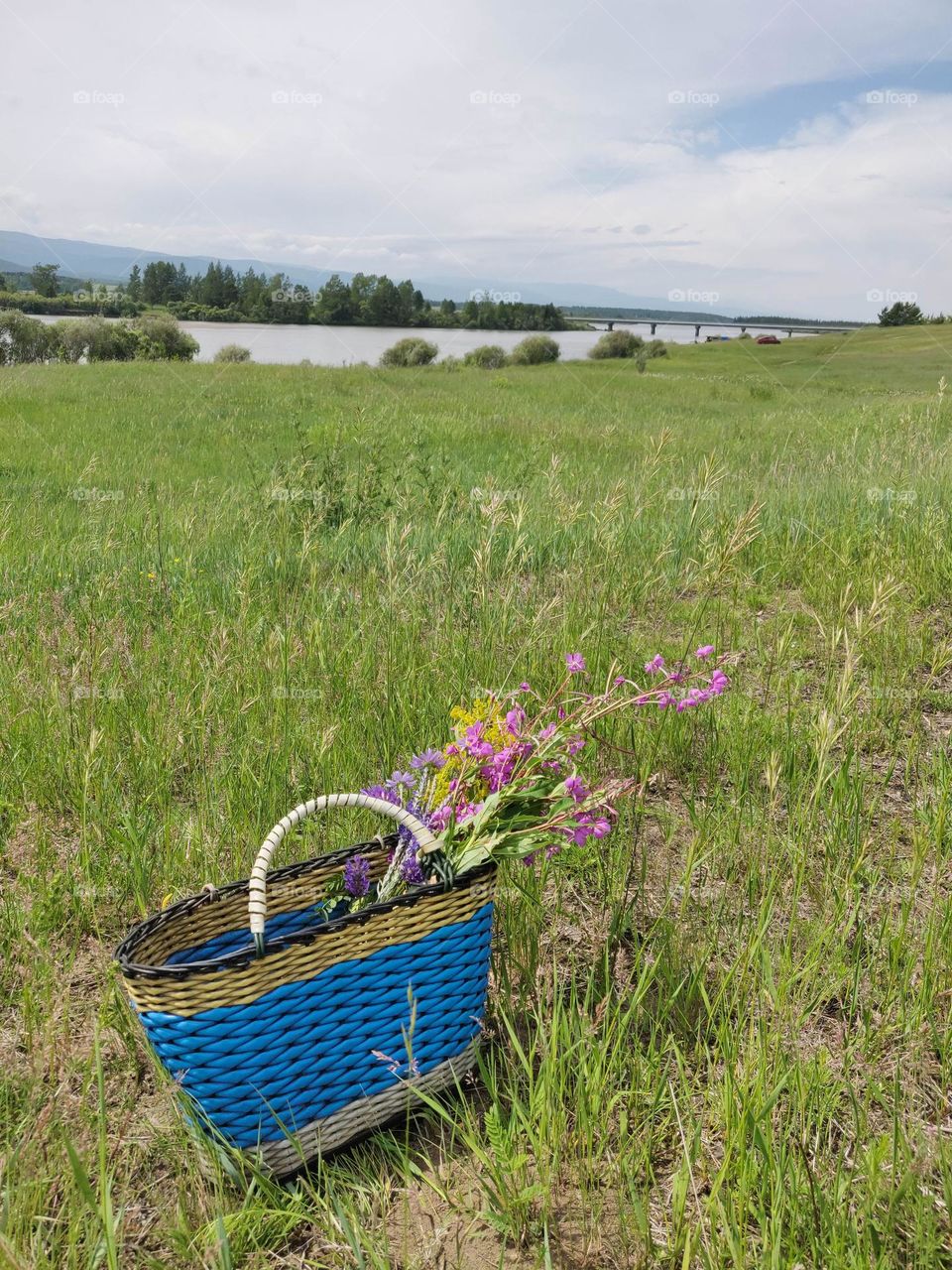 Basket of flowers