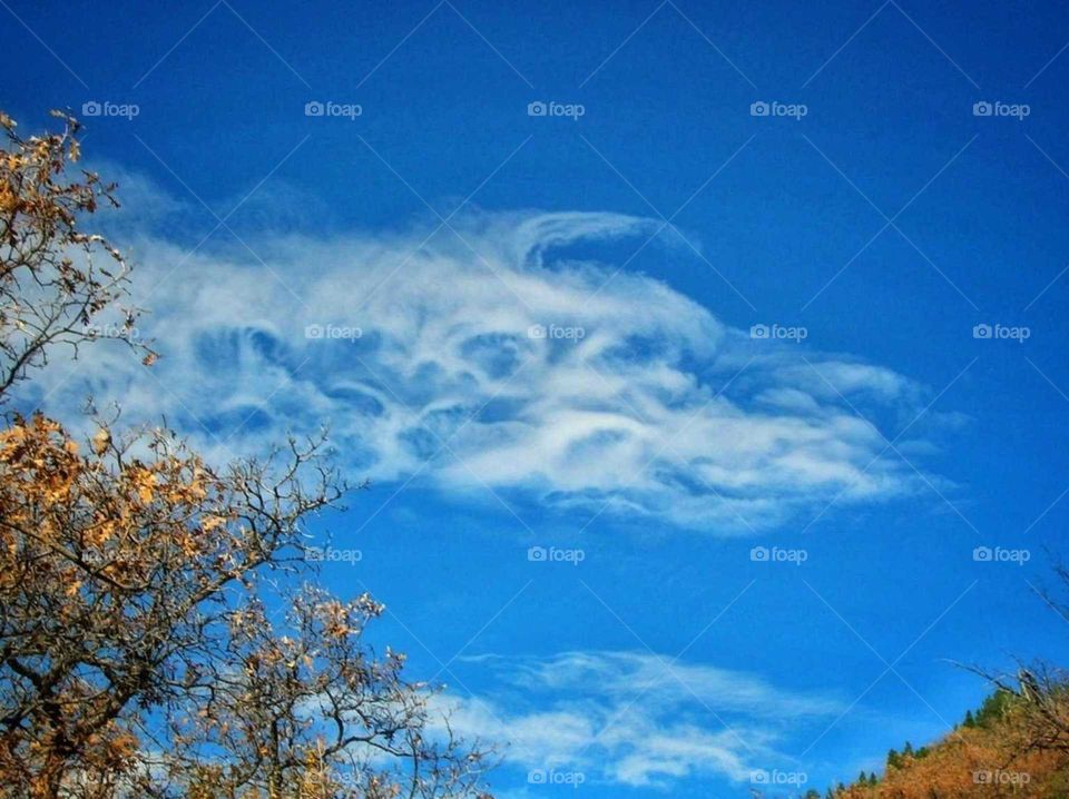 Dragon in the sky. Wispy white clouds against a cobalt blue sky form the head of a mystical Dragon.