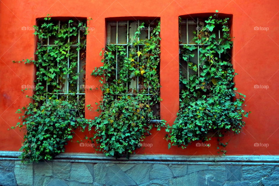 window, colored, facade, wall, outdoor, Rivoli, Italia , street,