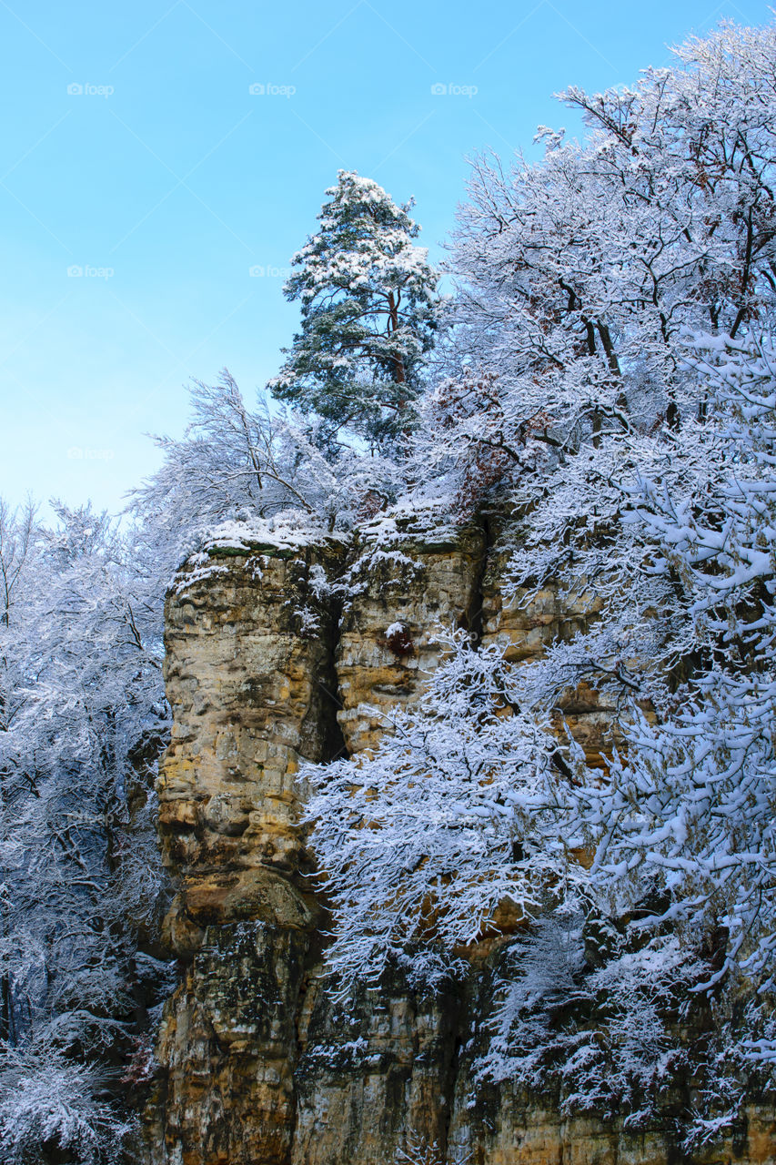Mountain view with trees and snow, winter landscape