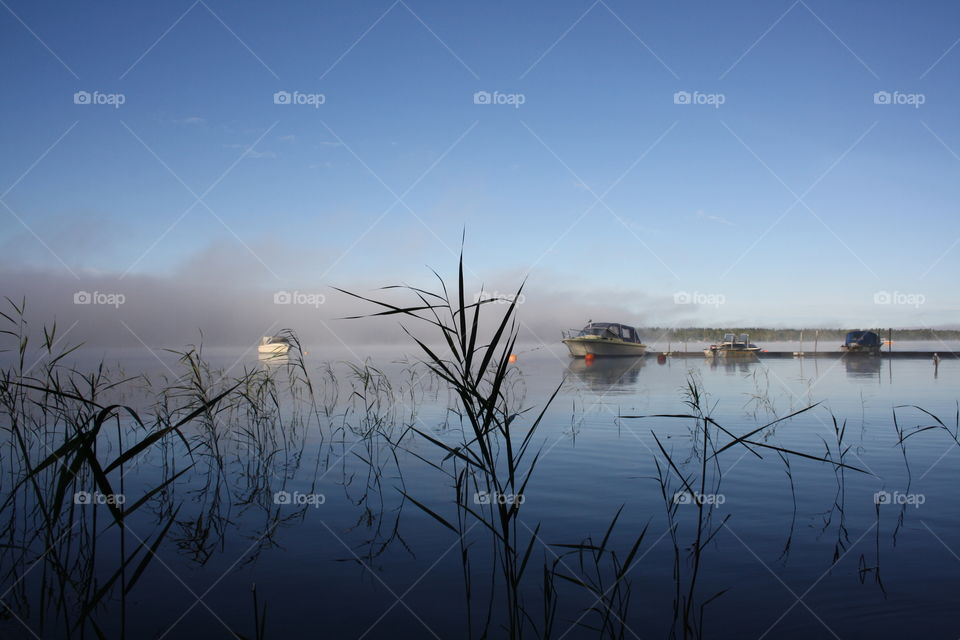 Foggy mornings