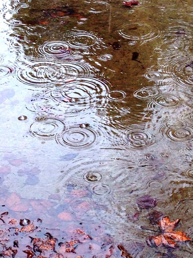Rings of rain