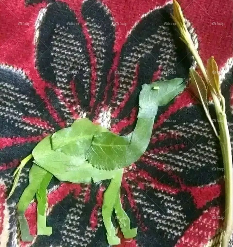 A very beautiful picture, and there is no better picture than it. There is no better picture of green herbs and colorful, red and white roses than it. Glory be to God, the natural and picturesque view, and there is no more