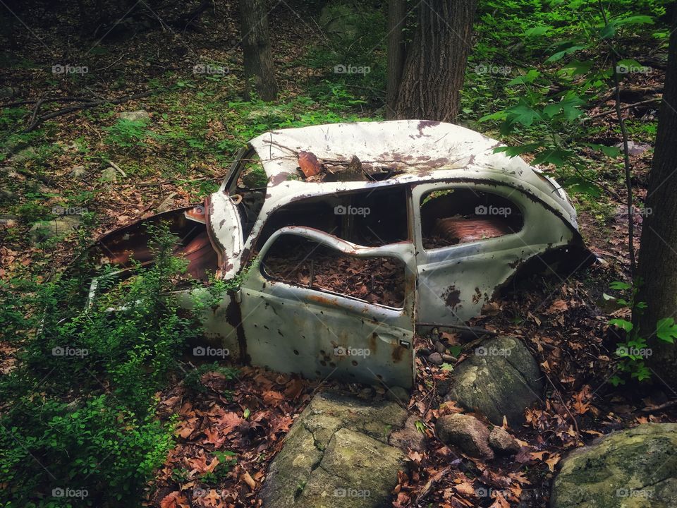 Old vintage bug car found in the local woods in Northern NJ. I still wonder how it get there in the first place. 