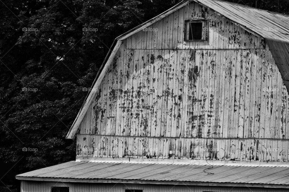 Old Barn