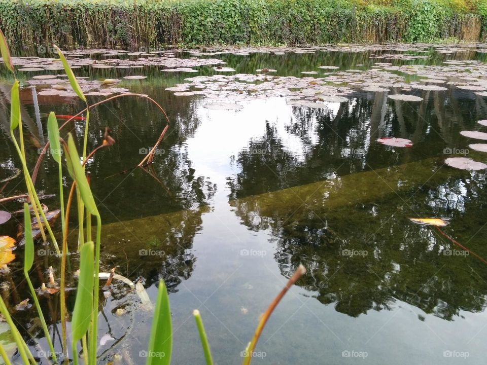 
Water reflection